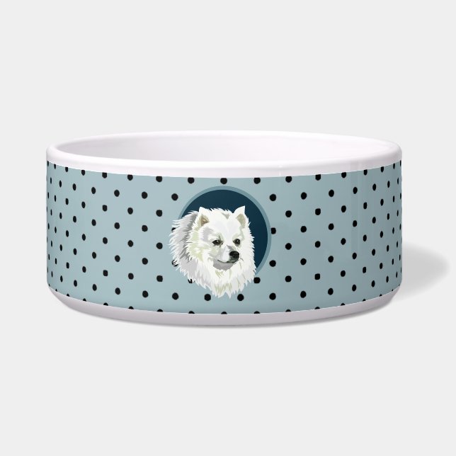 Dog Japanese Spitz (Front)