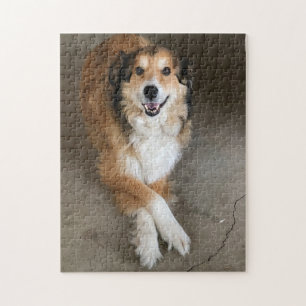 Dog Jigsaw Puzzle