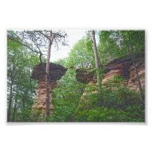 Dog Jumping from Stand Rock in Wisconsin Dells