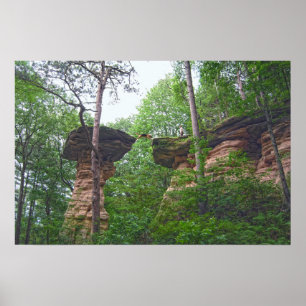 Dog Jumping from Stand Rock in Wisconsin Dells Poster