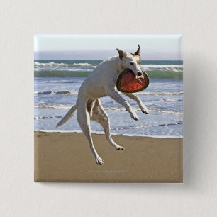 Dog jumping to catch a frisbee on beach 15 cm square badge