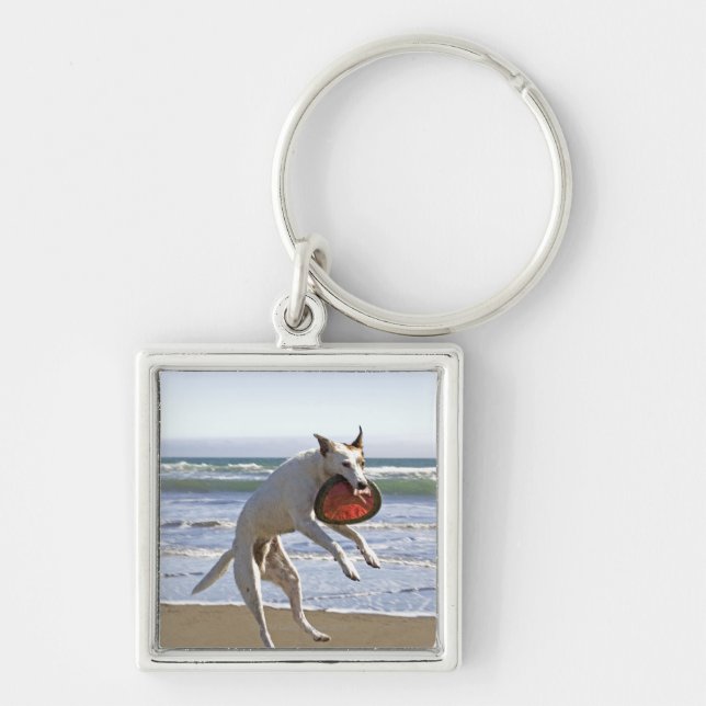 Dog jumping to catch a frisbee on beach key ring (Front)