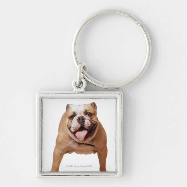 ,dog key ring (Front)