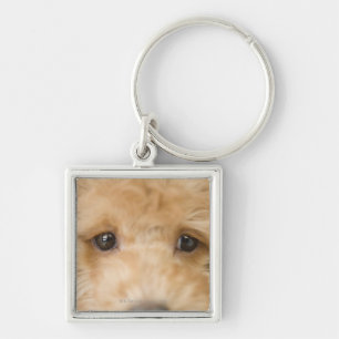 Dog Key Ring