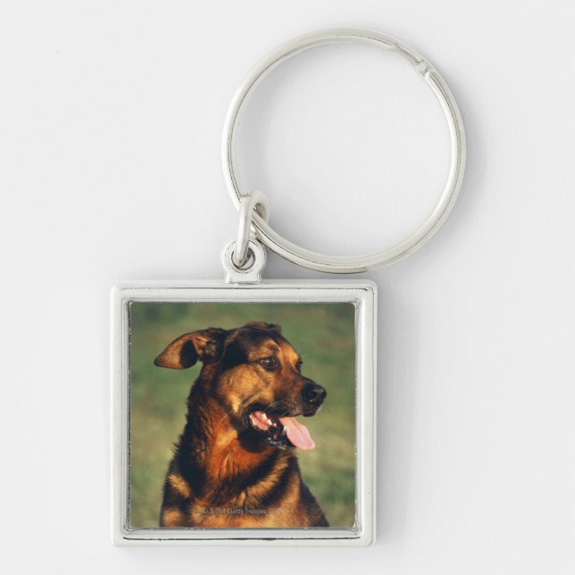 dog key ring (Front)