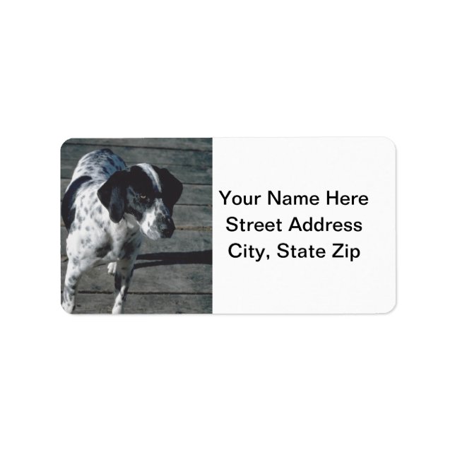 Dog Label (Front)