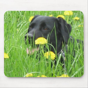 DOG LABRADOR RETRIEVER BLACK MOUSE PAD