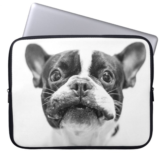 dog laptop sleeve (Front)