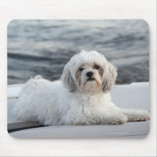 Dog laying by the water mouse pad