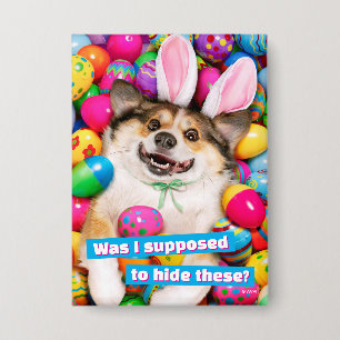Dog Laying on Easter Eggs
