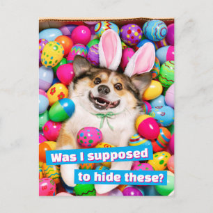 Dog Laying on Easter Eggs Postcard