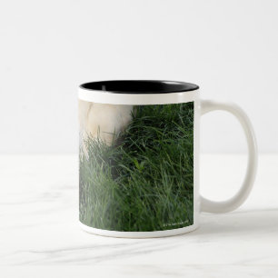 Dog laying upside down in grass with tennis ball Two-Tone coffee mug