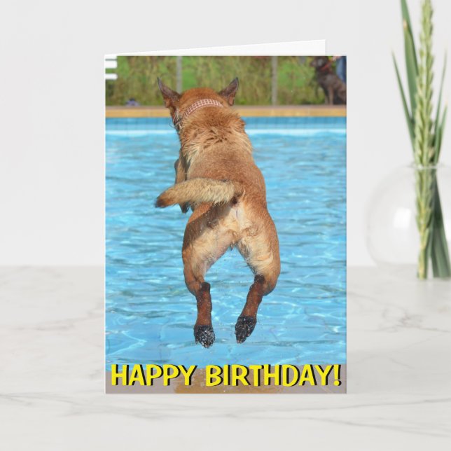 Dog leaping into pool birthday card (Front)