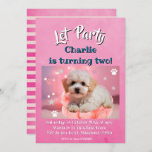 Dog Let's Party Birthday
