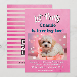 Dog Let's Party Birthday Holiday Card