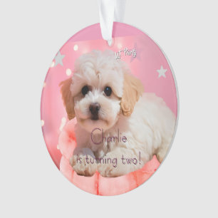Dog Let's Party Birthday  Ornament