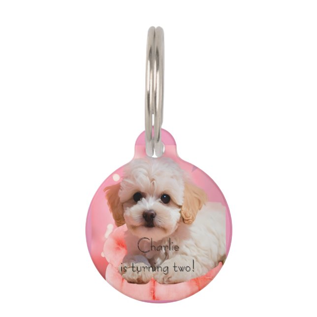 Dog Let's Party Birthday  Pet Tag (Front)
