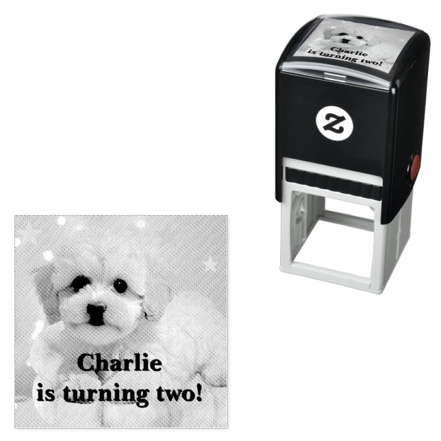 Dog Let's Party Birthday  Self-inking Stamp (In Situ)