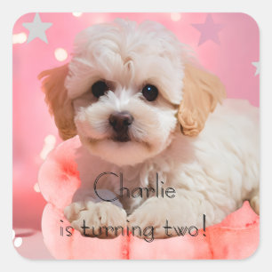 Dog Let's Party Birthday Square Sticker
