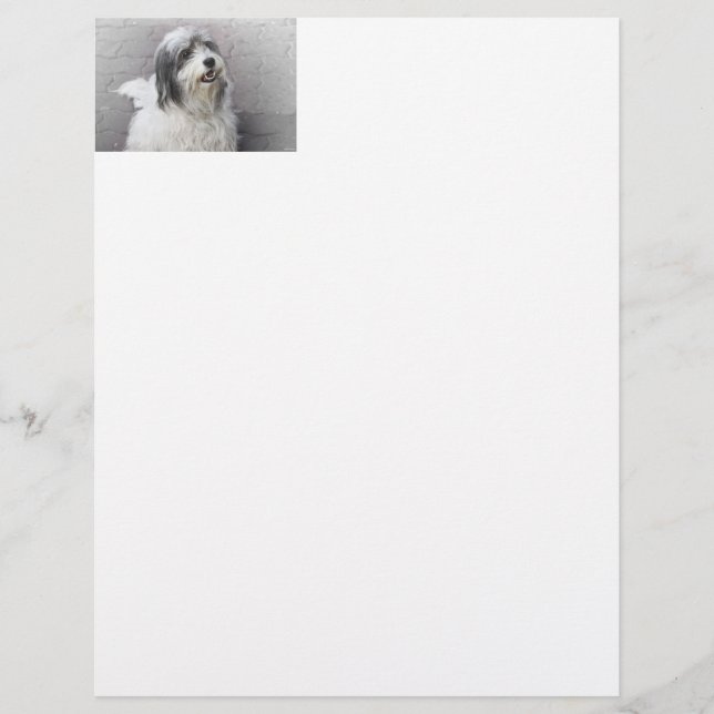 Dog Letterhead (Front)