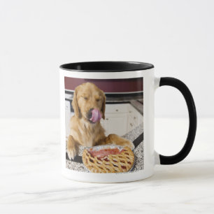 Dog licking nose after eating cherry pie in mug