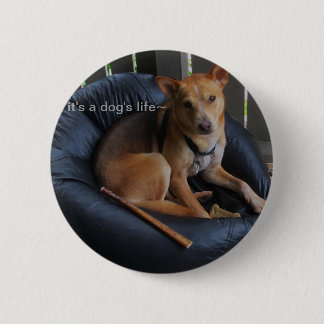 Dog life 6 cm round badge