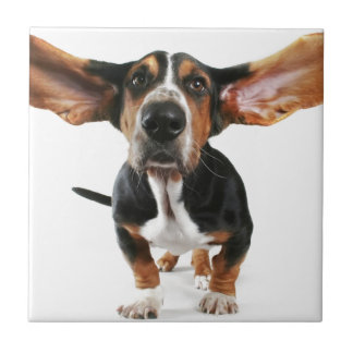 Dog long ears tile