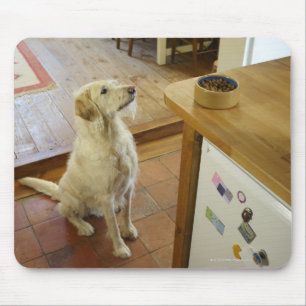 Dog looking at food on table. mouse pad