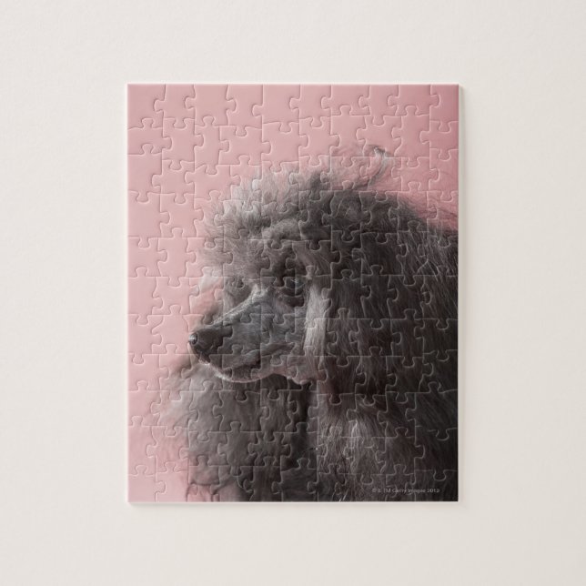 Dog looking away jigsaw puzzle (Vertical)