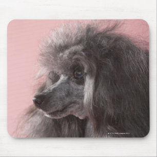Dog looking away mouse pad