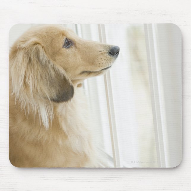 Dog looking out window mouse pad (Front)
