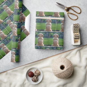 Dog Looking Through a Chain-Link Fence Wrapping Paper