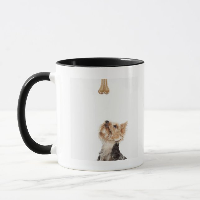 Dog looking up at bone mug (Left)