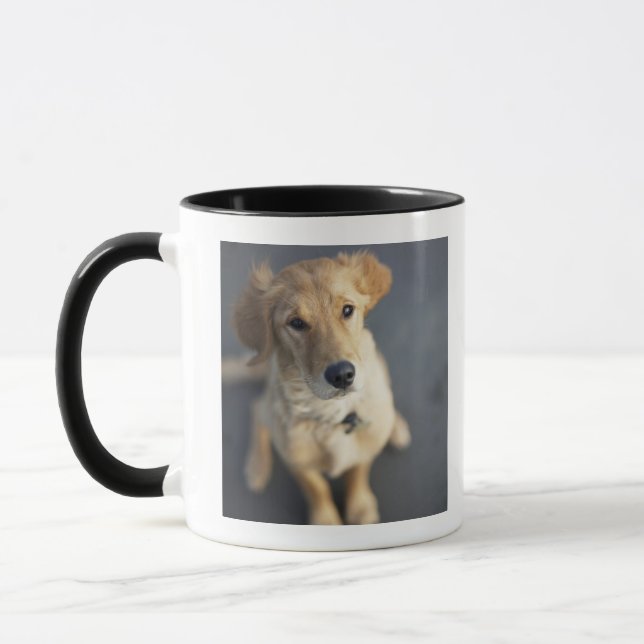 Dog looking up, close-up mug (Left)