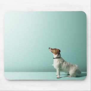 dog looking up into space mouse pad