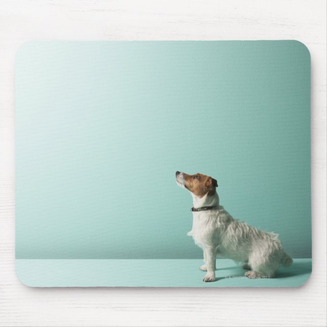 dog looking up into space mouse pad (Front)