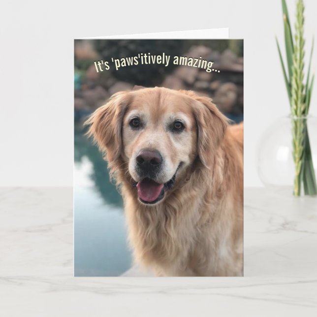 Dog Lover Birthday Card (Front)