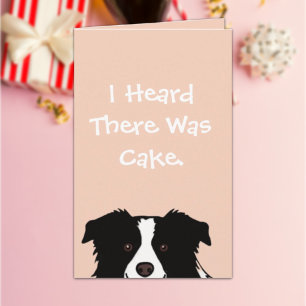 Dog Lover Birthday Card Cute Border Collie
