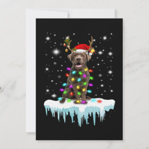 Dog Lover   Chocolate Labrador Christmas Light Card
