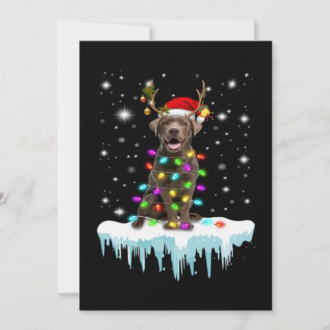 Dog Lover | Chocolate Labrador Christmas Light Card (Front)