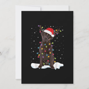 Dog Lover   Chocolate Labrador Retriever Christmas Card