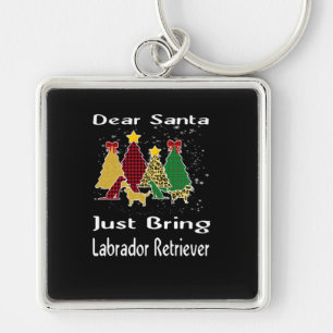 Dog Lover Dear Santa Just Bring Labrador Retriever Key Ring