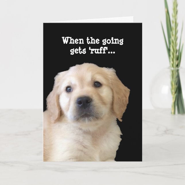 Dog Lover Get Well Card (Front)