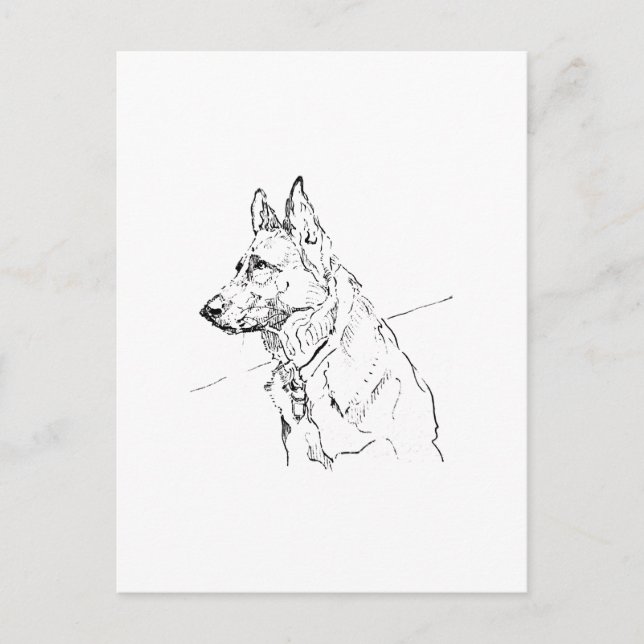 Dog Lover Gift, German Shepherd Postcard (Front)