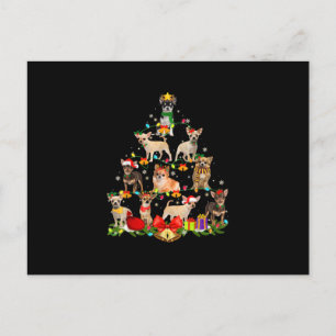 Dog Lover Gifts Chihuahua Tree Christmas Light Holiday Postcard