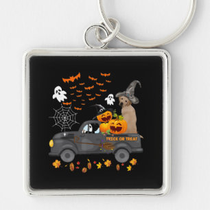 Dog Lover Halloween Labrador Truck Trick Or Treat Key Ring