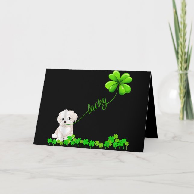 Dog Lover | Irish Shamrock Lucky With Cute Maltese Holiday Card (Front)