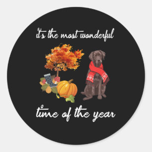 Dog Lover    It's The Most Wonderful Time Of  Year Classic Round Sticker
