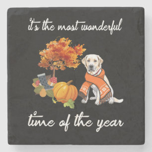 Dog Lover Labrador It's The Most Wonderful Time Stone Coaster