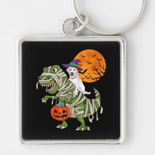 Dog Lover Labrador Retriever Riding Mummy T Rex Key Ring